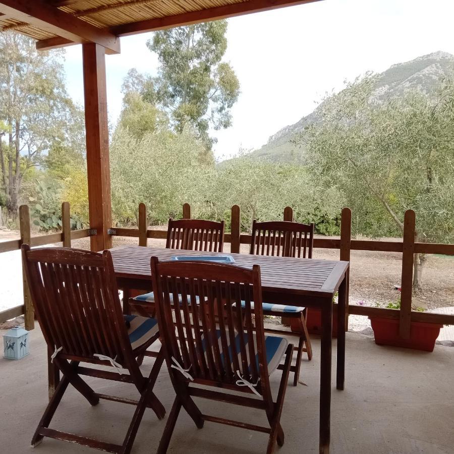 Casa di Campagna Galtellì Esterno foto