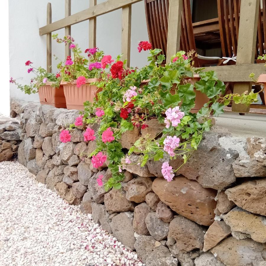 Casa di Campagna Galtellì Esterno foto